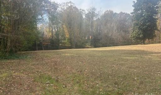 Photo #4 of Jeffrey, Wingate, NC