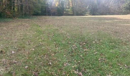 Photo #3 of Jeffrey, Wingate, NC