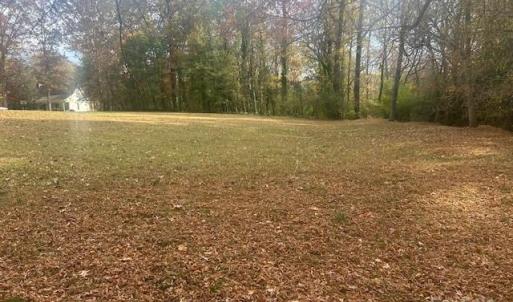 Photo #2 of Jeffrey, Wingate, NC