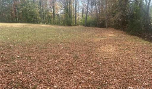 Photo #1 of Jeffrey, Wingate, NC