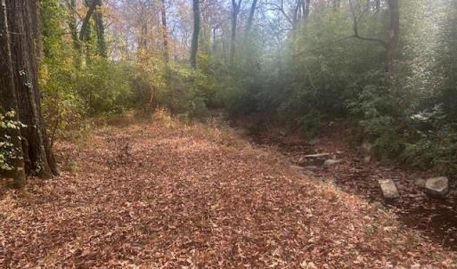 Photo #10 of Jeffrey, Wingate, NC