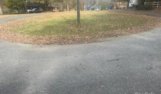 Photo #5 of Jeffrey, Wingate, NC