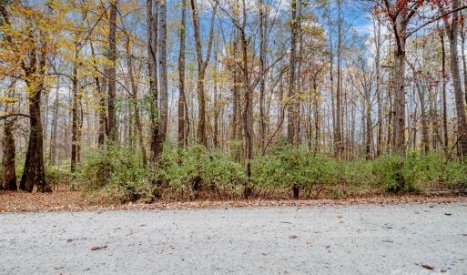 Photo #6 of Tract B Stream, Indian Land, SC