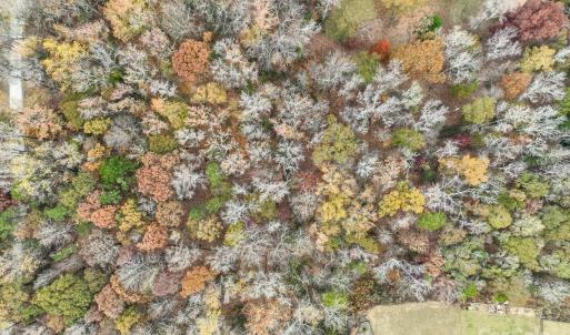 Photo #12 of Tract B Stream, Indian Land, SC