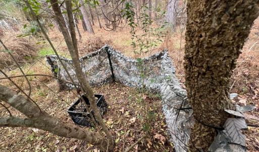 Photo #5 of TBD Hwy 109, Peachland, NC