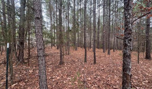 Photo #4 of TBD Hwy 109, Peachland, NC