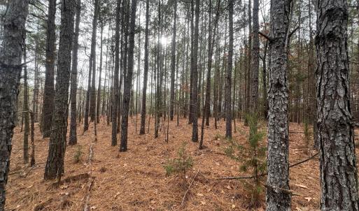 Photo #2 of TBD Hwy 109, Peachland, NC