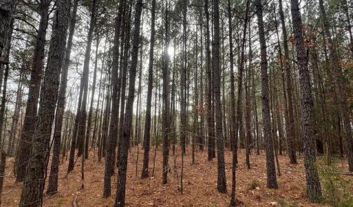 Photo #3 of TBD Hwy 109, Peachland, NC