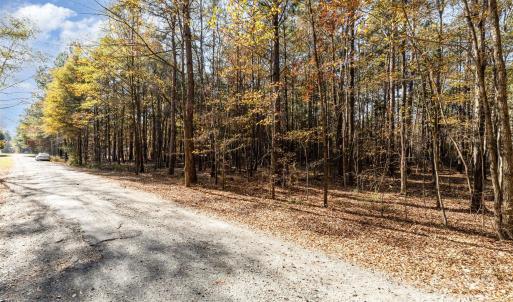 Photo #1 of Rose, Indian Trail, NC