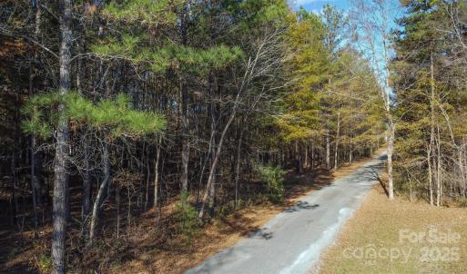 Photo #2 of Rose, Indian Trail, NC