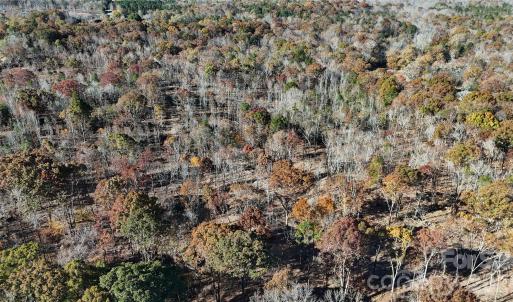 Photo #9 of 01 Lancaster, Waxhaw, NC