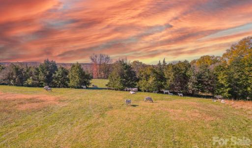 Photo #33 of 1049 Culp Ferguson, Lancaster, SC