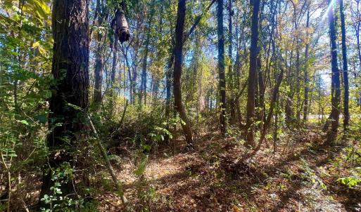 Photo #12 of John Everall, Lancaster, SC