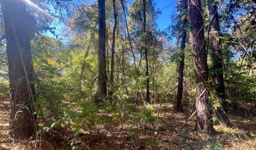 Photo #8 of John Everall, Lancaster, SC