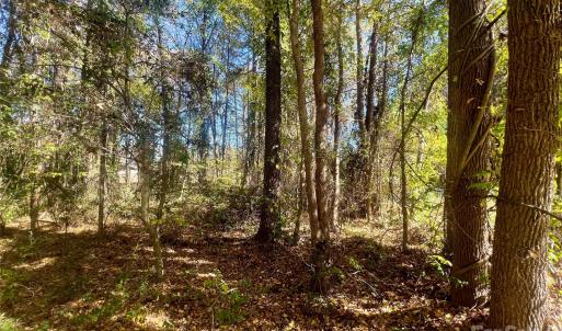 Photo #6 of John Everall, Lancaster, SC