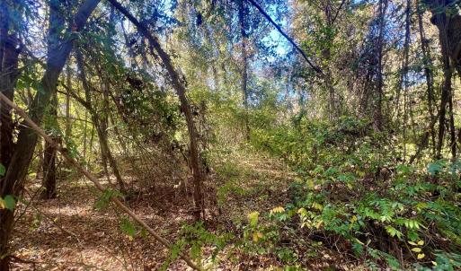 Photo #14 of John Everall, Lancaster, SC