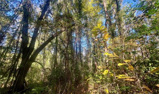 Photo #11 of John Everall, Lancaster, SC