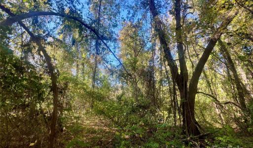 Photo #10 of John Everall, Lancaster, SC