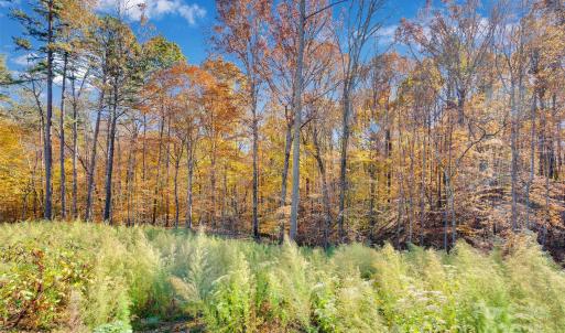 Photo #15 of 1470 Trotter, Mount Pleasant, NC