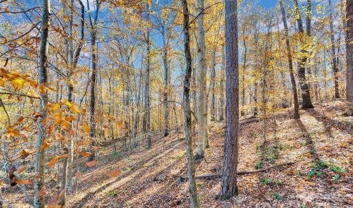 Photo #12 of 1470 Trotter, Mount Pleasant, NC