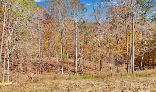 Photo #8 of 1470 Trotter, Mount Pleasant, NC