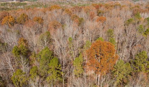 Photo #11 of Hillcrest, York, SC