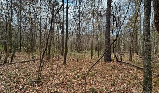 Photo #16 of 3080 Charlotte, Lancaster, SC