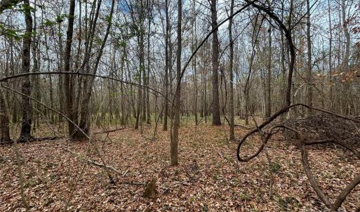 Photo #15 of 3080 Charlotte, Lancaster, SC