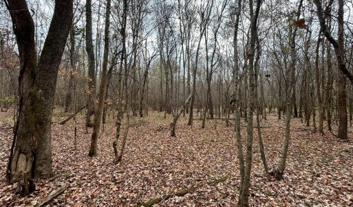 Photo #14 of 3080 Charlotte, Lancaster, SC