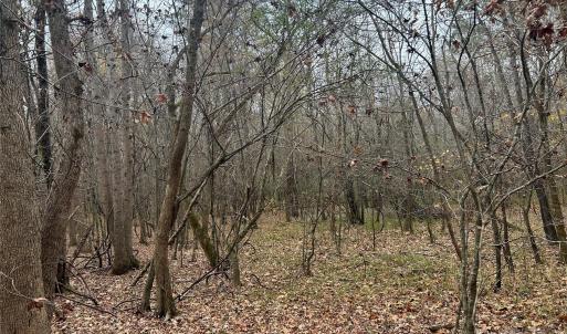 Photo #18 of 3080 Charlotte, Lancaster, SC