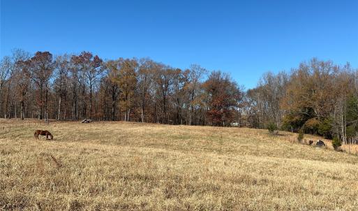 Photo #2 of Misty Pond, Marshville, NC