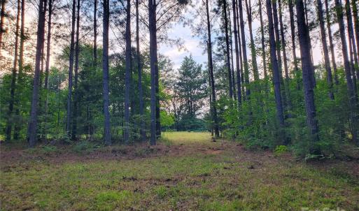 Photo #7 of Bovine, Richburg, SC