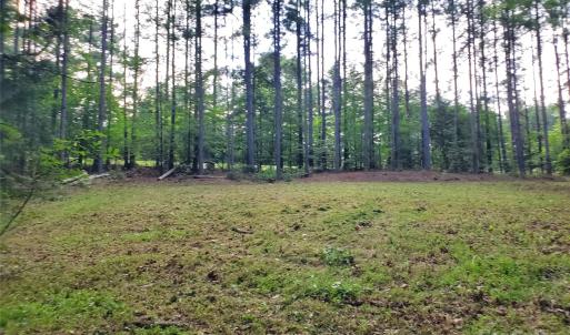 Photo #6 of Bovine, Richburg, SC