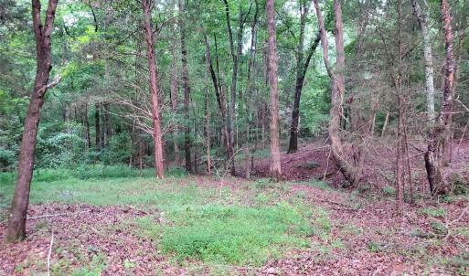 Photo #2 of Bovine, Richburg, SC