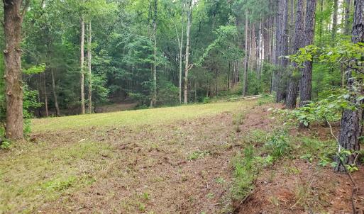 Photo #11 of Bovine, Richburg, SC