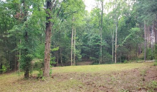 Photo #10 of Bovine, Richburg, SC