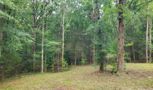 Photo #9 of Bovine, Richburg, SC
