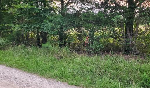 Photo #14 of Bovine, Richburg, SC
