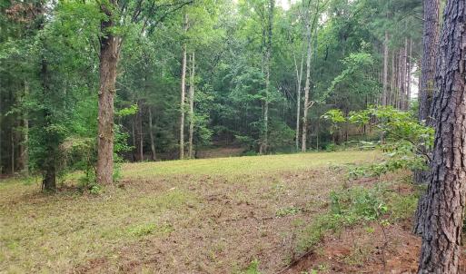 Photo #12 of Bovine, Richburg, SC