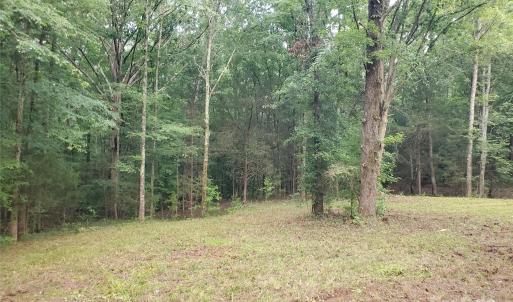 Photo #13 of Bovine, Richburg, SC