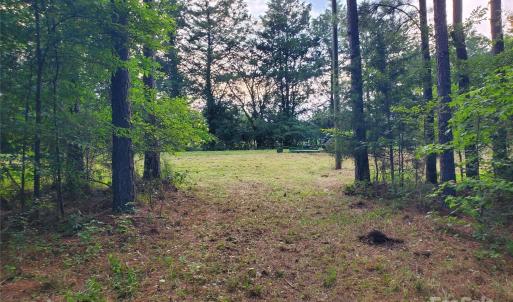 Photo #8 of Bovine, Richburg, SC