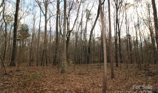 Photo #7 of Lot 1 14.5+/-AC Pioneer, York, SC