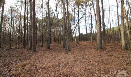 Photo #5 of Lot 1 14.5+/-AC Pioneer, York, SC
