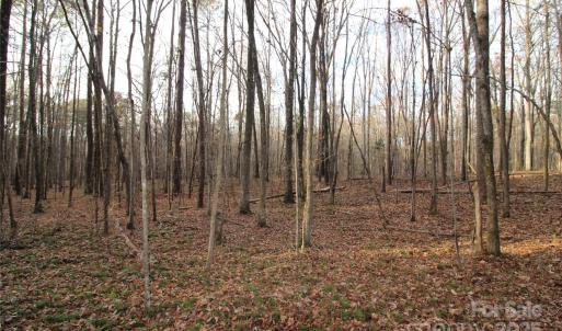 Photo #6 of Lot 1 14.5+/-AC Pioneer, York, SC