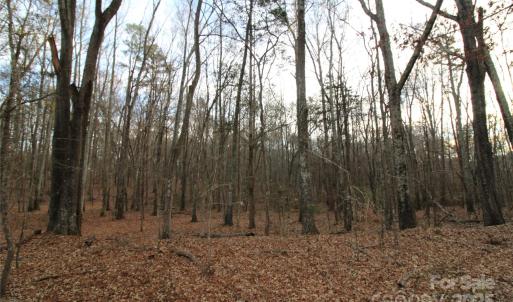 Photo #8 of Lot 1 14.5+/-AC Pioneer, York, SC