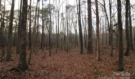 Photo #15 of Lot 1 14.5+/-AC Pioneer, York, SC