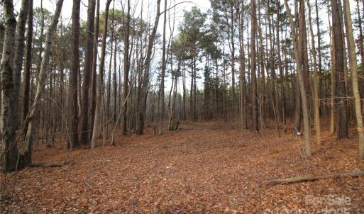 Photo #2 of Lot 1 14.5+/-AC Pioneer, York, SC