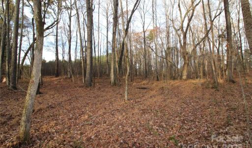 Photo #4 of Lot 1 14.5+/-AC Pioneer, York, SC