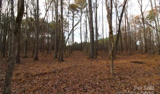 Photo #9 of Lot 1 14.5+/-AC Pioneer, York, SC