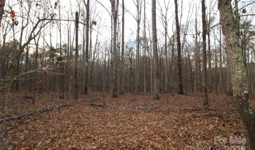 Photo #14 of 14.5+/-AC Pioneer, York, SC